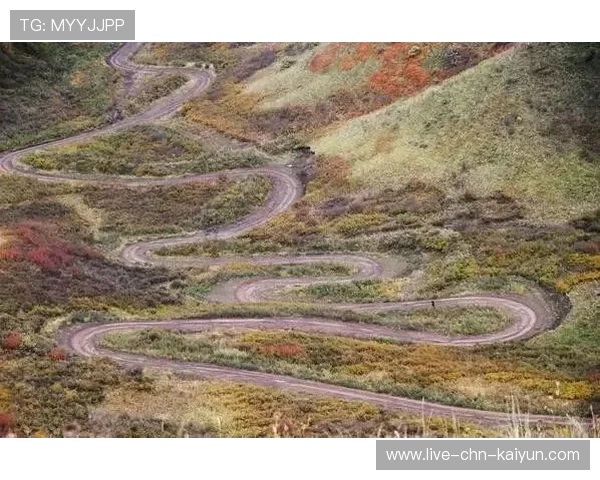 “SHO-CHAN Run 2025:跑者狂热,香港再掀赛事高潮” “SHO-CHAN Run 2025:跑者狂热,香港再掀赛事高潮”